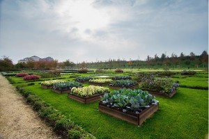 La Venaria gardens