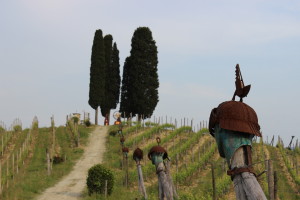 asti-vineyards-with-cypress-trees