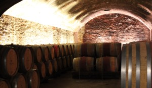 asti wine cellar with barrells