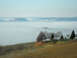 Monferrato hills with trees and clouds in the distance