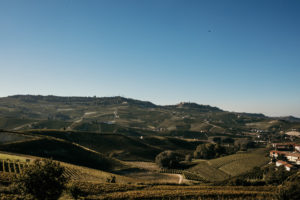 Barolo wine tasting featured here a photo of the Barolo landscape with green rolling hills