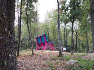 Big Bench in Piedmont set amongst a cluster of trees in Piedmont